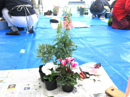 【画像】お花の配置が決まりました。